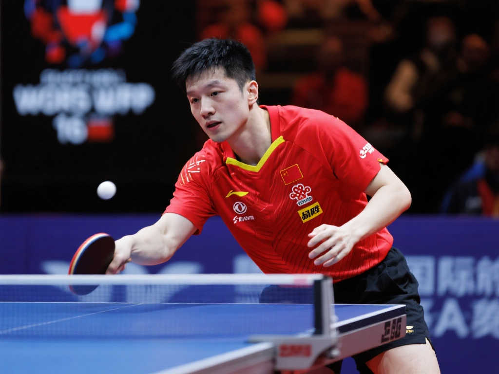 立刻引起了 立刻引起了